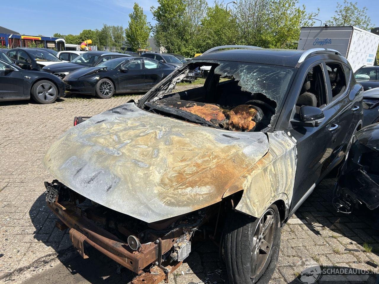 MG ZS EV ( zware brandschade )