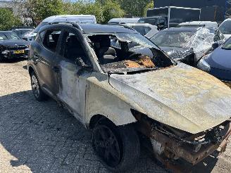 MG ZS EV ( zware brandschade ) picture 2