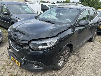 škoda osobní automobily Renault Kadjar 1.2 TCe  Intens Automaat 2017/7