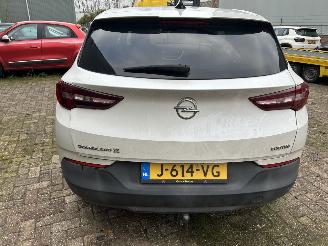 Opel Grandland X 1.2 Turbo Business Edition  ( Koplings probleem ) picture 5