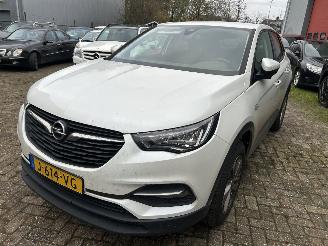 uszkodzony samochody osobowe Opel Grandland X 1.2 Turbo Business Edition  ( Koplings probleem ) 2020/10