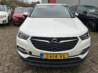 Opel Grandland X 1.2 Turbo Business Edition  ( Koplings probleem ) picture 2