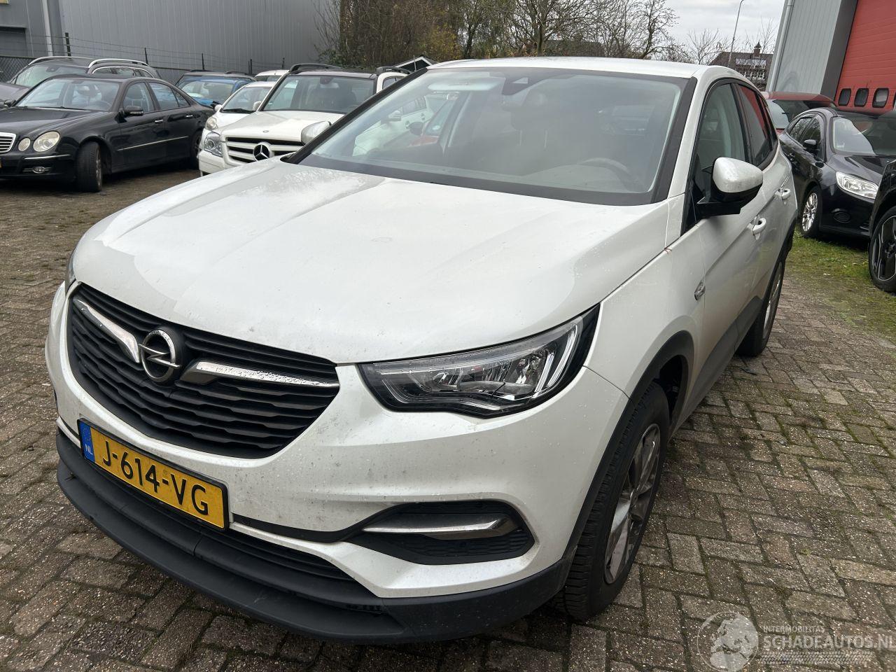 Opel Grandland X 1.2 Turbo Business Edition  ( Koplings probleem )