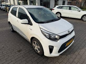 Kia Picanto 1.0 DPI  Comfortline picture 3