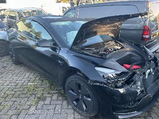 Tesla Model 3 Stnd RWD Plus picture 1