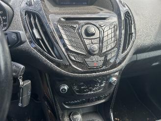 Ford B-Max 1.0 Ecoboost Titanium  ( 78131 Km ) picture 9