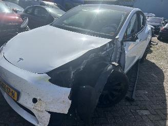 Schadeauto Tesla Model Y Bev Rear-Wheel Drive 2024/6