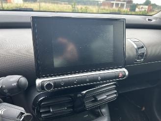 Citroën C4 cactus 1.6 BlueHDI picture 10