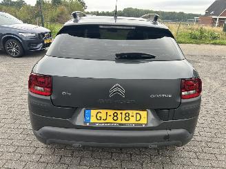 Citroën C4 cactus 1.6 BlueHDI picture 7