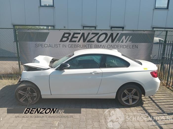 BMW 2-serie 2 serie (F22/F87), Coupe, 2013 / 2021 218i 1.5 TwinPower Turbo 12V