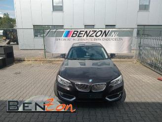 BMW 2-serie  picture 2
