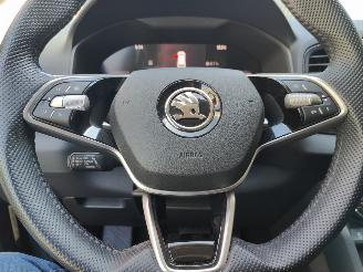 Skoda Karoq 1.5 TSI Sportline Aut. picture 14