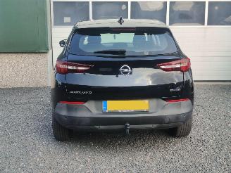 Opel Grandland 1.2 Turbo Edition Cruise Trekhaak picture 6