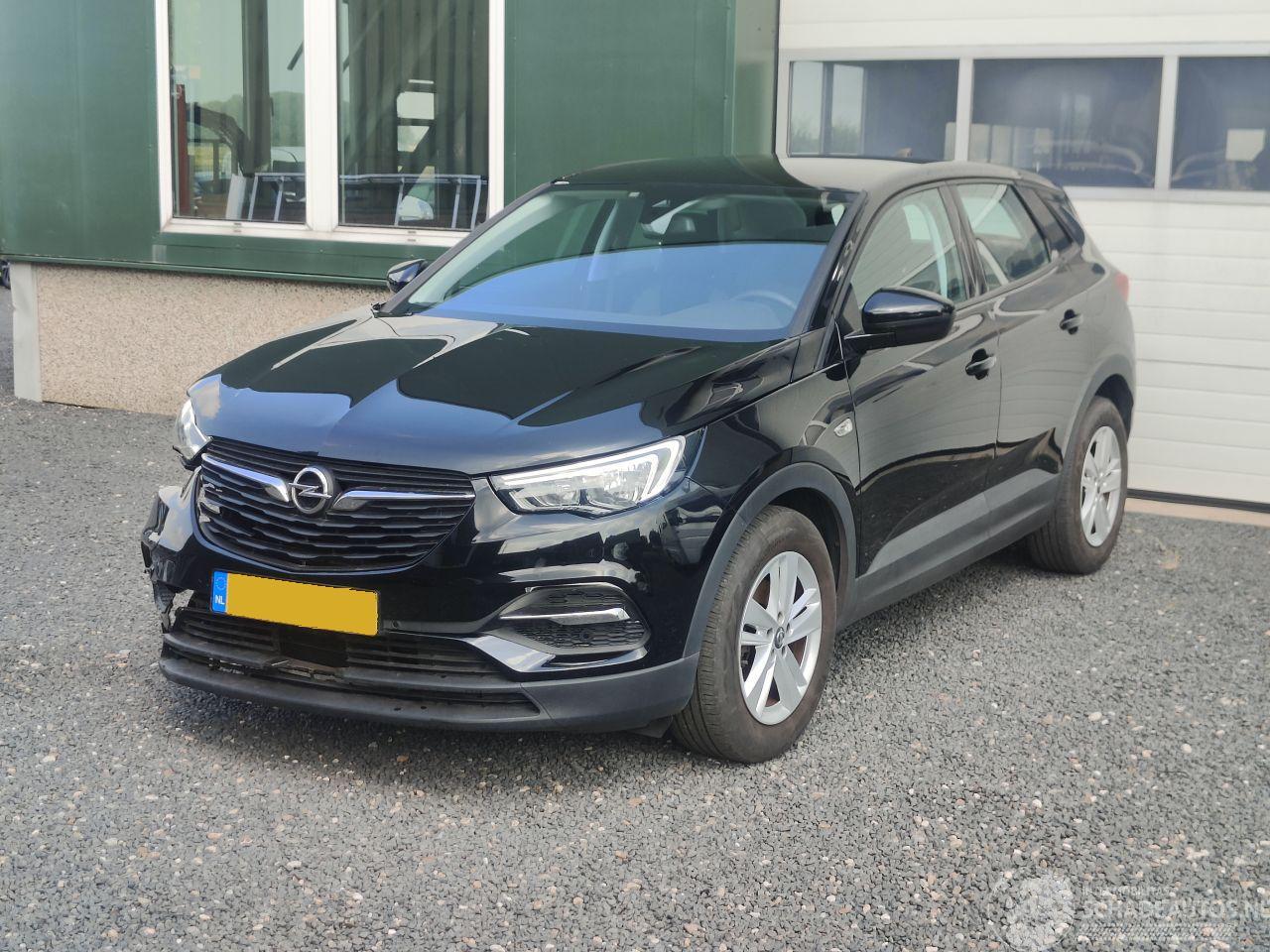 Opel Grandland 1.2 Turbo Edition Cruise Trekhaak