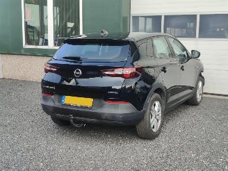 Opel Grandland 1.2 Turbo Edition Cruise Trekhaak picture 5