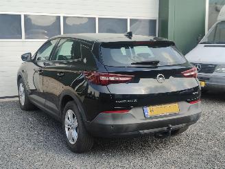 Opel Grandland 1.2 Turbo Edition Cruise Trekhaak picture 7