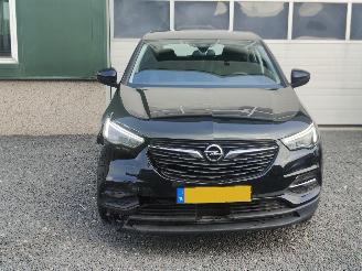 Opel Grandland 1.2 Turbo Edition Cruise Trekhaak picture 2