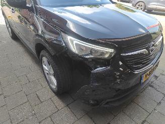 Opel Grandland 1.2 Turbo Edition Cruise Trekhaak picture 3