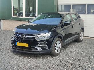 Auto incidentate Opel Grandland 1.2 Turbo Edition Cruise Trekhaak 2020/1