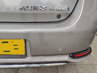 Toyota Auris 1.8 Hybrid Aspiration Aut. picture 18