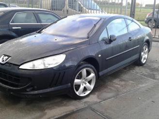 Peugeot 407  picture 4