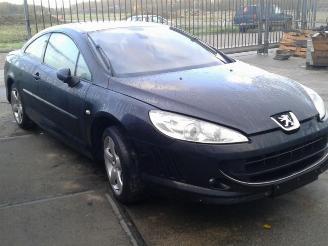 Peugeot 407  picture 2