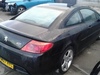 Peugeot 407  picture 1