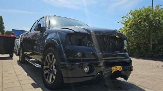 demontáž osobní automobily Ford USA F-150 F-150, Pick-up, 2003 / 2008 5.4 V8 4x4 2006/5
