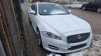 Jaguar XJ XJ (X351), Sedan, 2009 / 2019 3.0 V6 Supercharged 24V picture 2