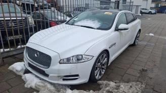 Sloopauto Jaguar XJ XJ (X351), Sedan, 2009 / 2019 3.0 V6 Supercharged 24V 2015/1