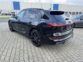 Audi E-tron E-TRON 50 S-LINE KLIMA NAVI PANORAMDACH 22 ZOLL picture 7