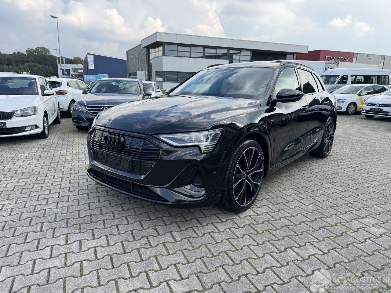 Audi E-tron E-TRON 50 S-LINE KLIMA NAVI PANORAMDACH 22 ZOLL