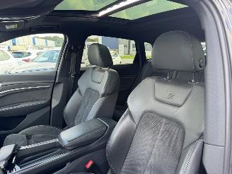 Audi E-tron E-TRON 50 S-LINE KLIMA NAVI PANORAMDACH 22 ZOLL picture 10