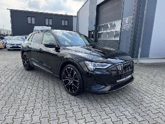 Audi E-tron E-TRON 50 S-LINE KLIMA NAVI PANORAMDACH 22 ZOLL picture 2