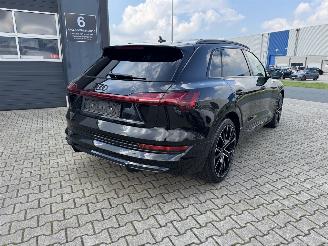 Audi E-tron E-TRON 50 S-LINE KLIMA NAVI PANORAMDACH 22 ZOLL picture 5
