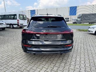 Audi E-tron E-TRON 50 S-LINE KLIMA NAVI PANORAMDACH 22 ZOLL picture 6