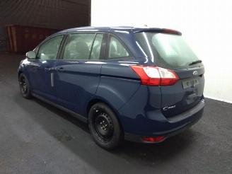 Ford Grand C-Max  picture 24