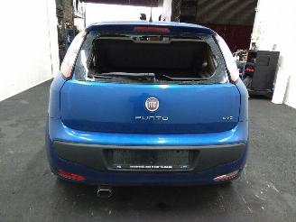 Fiat Punto Evo  picture 4