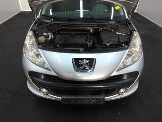Peugeot 207  picture 19