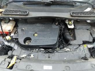 Ford Kuga  picture 21