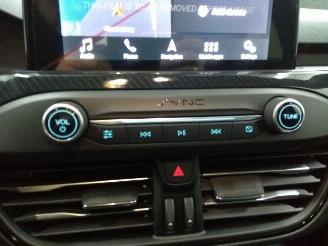 Ford Focus  picture 10