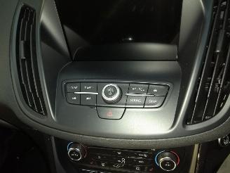Ford Kuga  picture 8