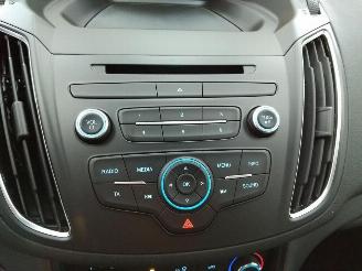 Ford C-Max  picture 25