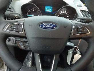 Ford C-Max  picture 7