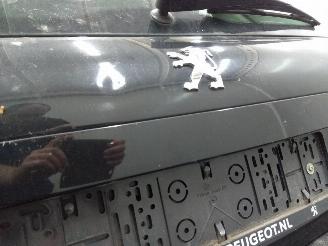 Peugeot   picture 21