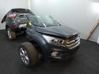 Ford Kuga  picture 1