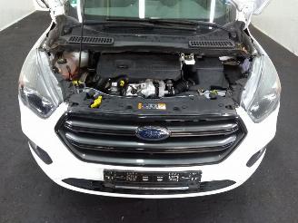 Ford Kuga  picture 19