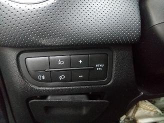 Fiat Punto Evo  picture 6