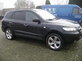 disassembly passenger cars Hyundai Santa Fe  2006/1