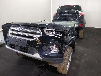 Ford Kuga  picture 24